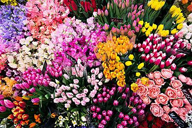 Capcom发布《龙之信条2》新预告展示各职业动作